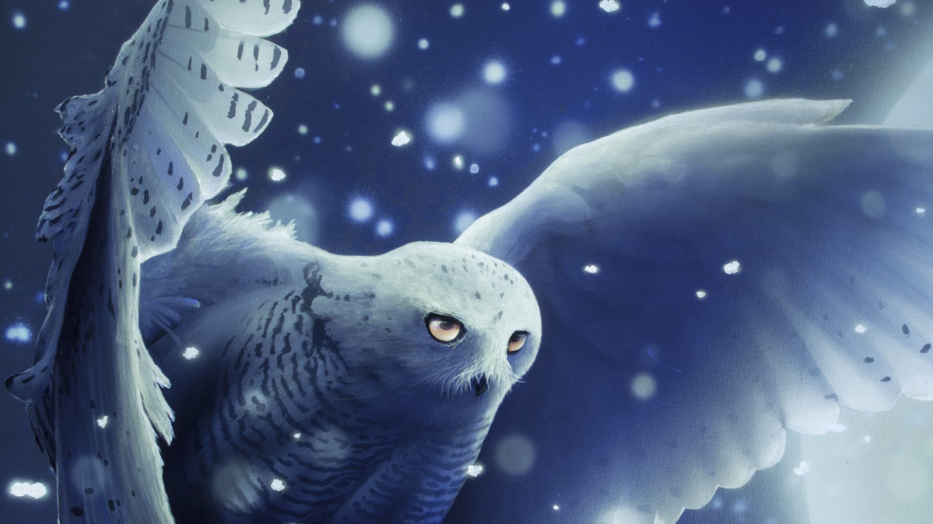 Snowy Owl