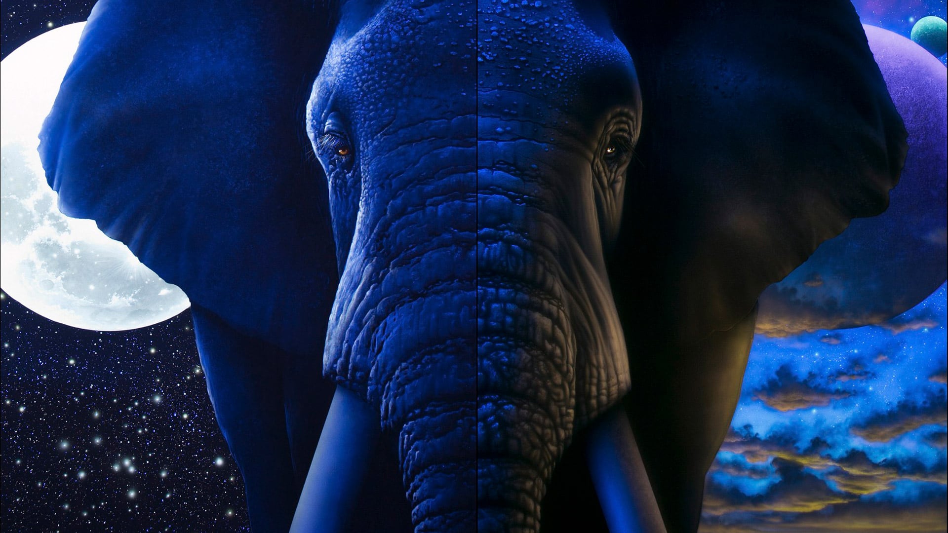 Transcendental Elephants