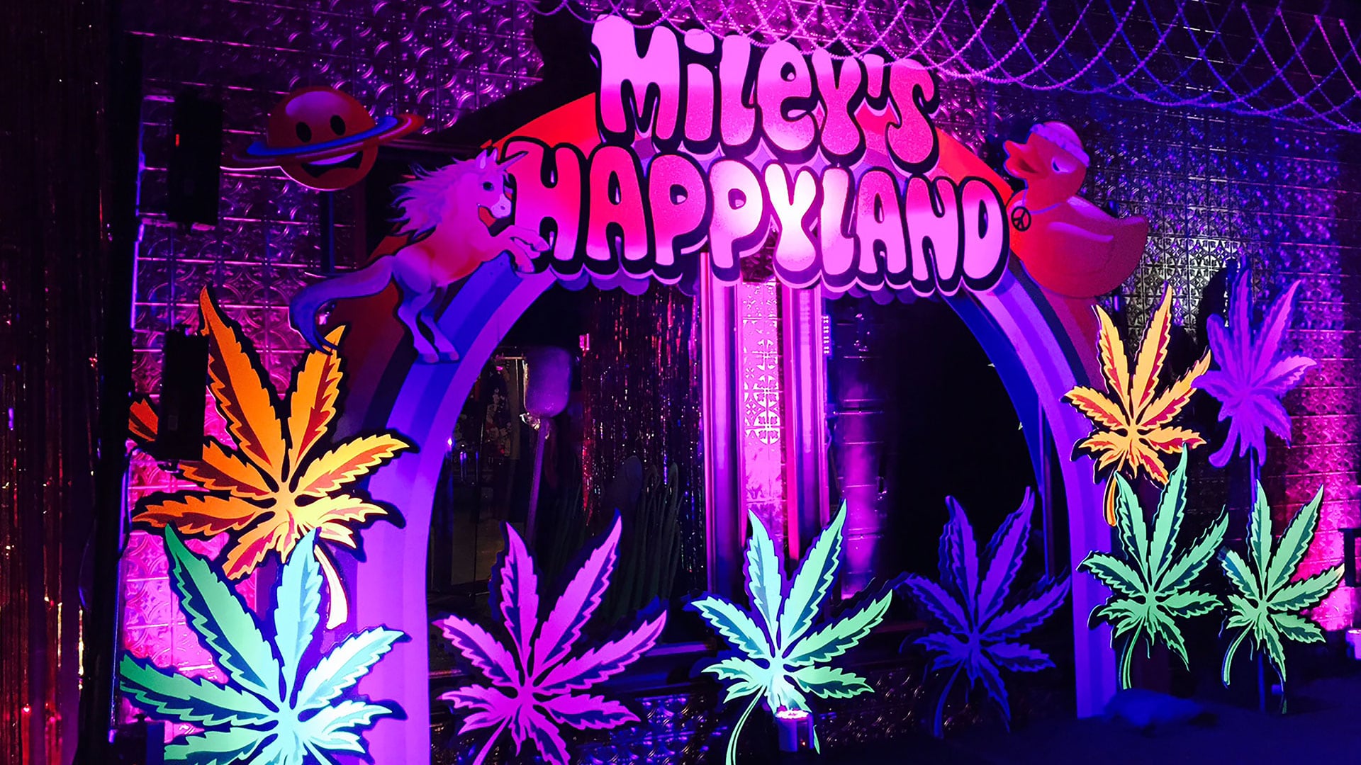 Miley Cyrus Private Party