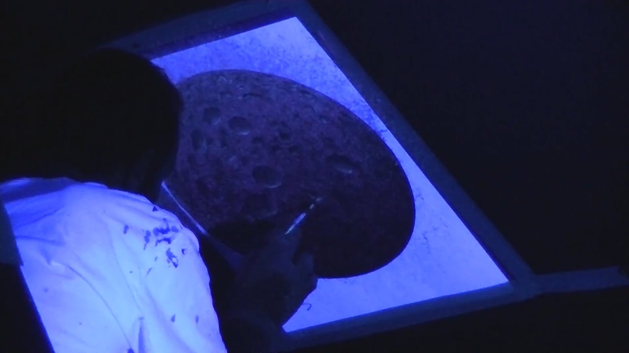 Purple Haze Nebulae UV Black Light