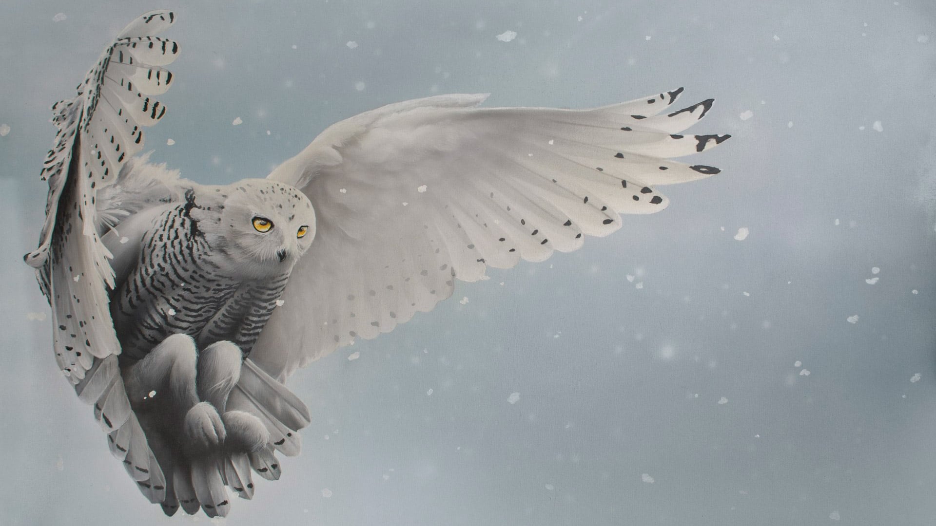 Dual nature of the Snowy Owl, appearing one way under normal daylight and completely different under black light.