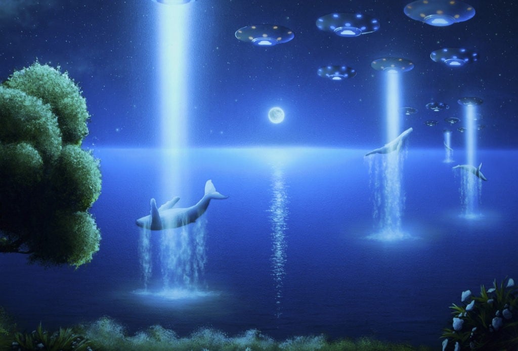 Alien Abduction Whale Edition