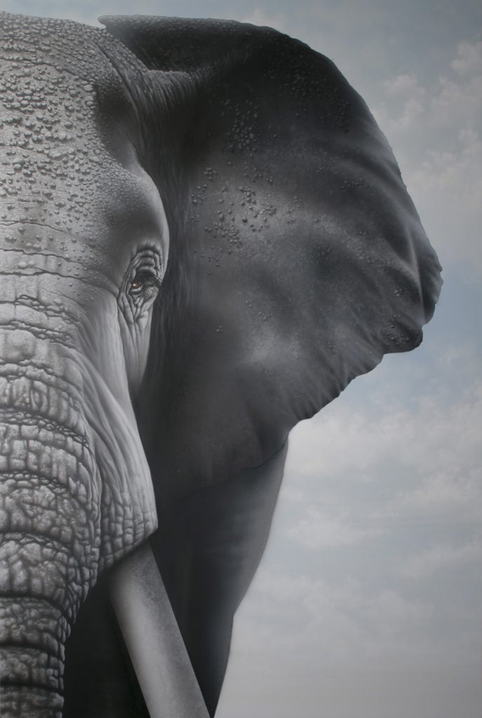 Transcendental Elephants (daylight)