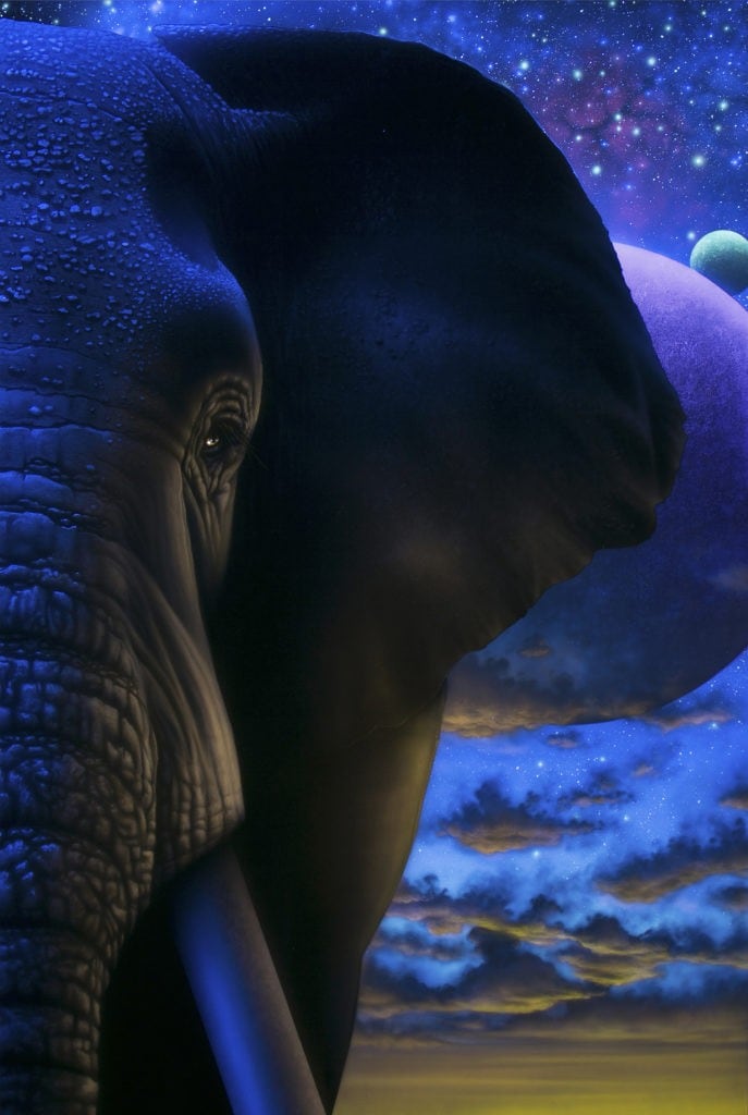 Transcendental Elephants (black light)