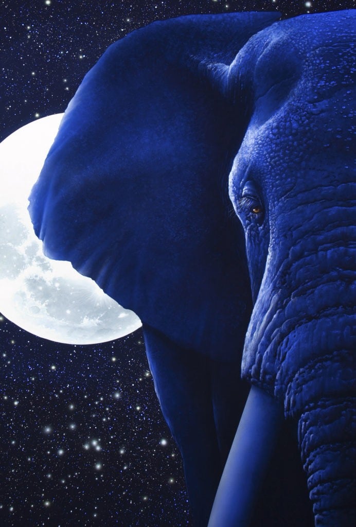 Transcendental Elephants