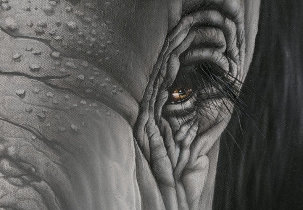 Transcendental Elephants