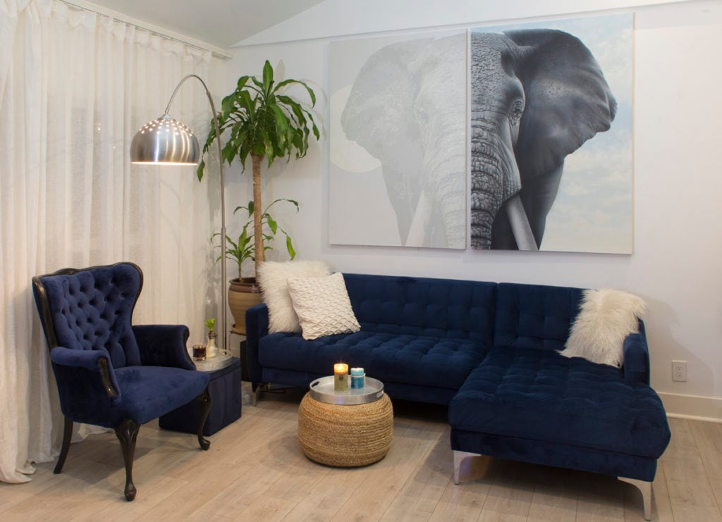 Transcendental Elephants