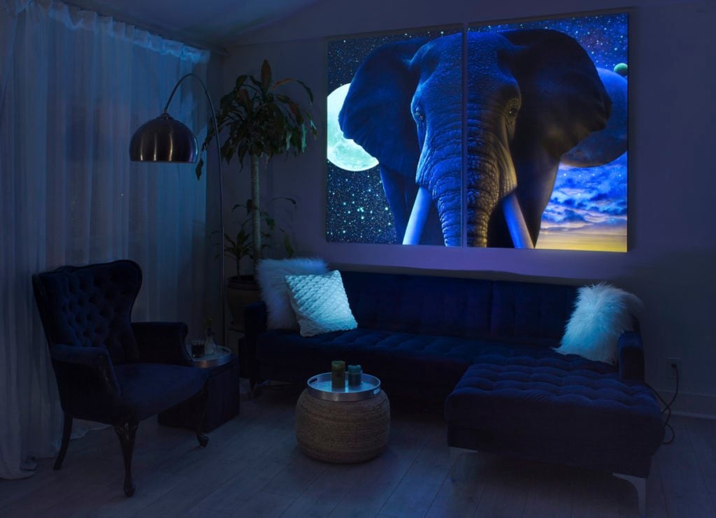 Curtis specializes in abstract and realistic fine art. A great alternative to traditional mural art, available in a variety of canvas sizes.