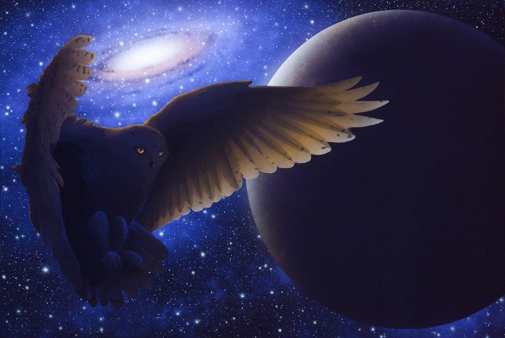 Galactic Snowy Owl (black light)