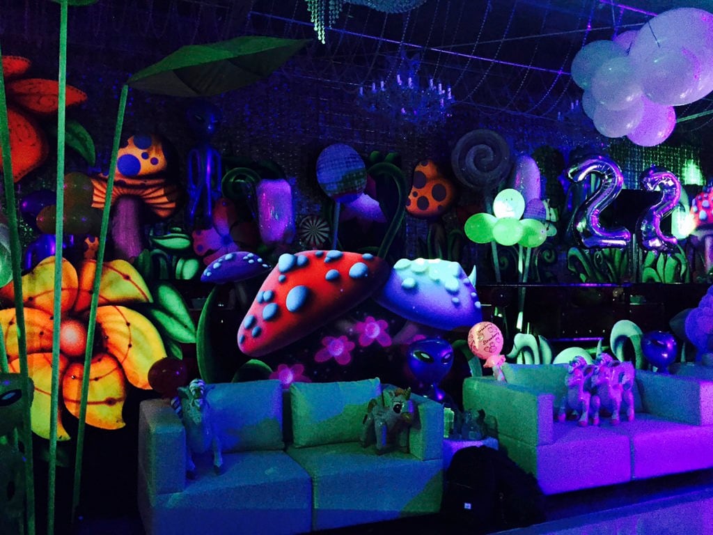 Miley Cyrus Private Party