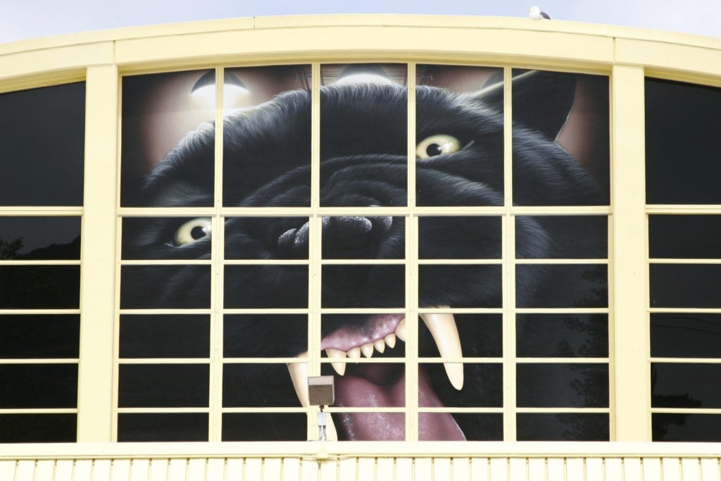 Panthers