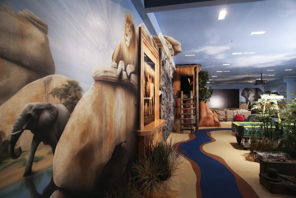 Safari Playroom