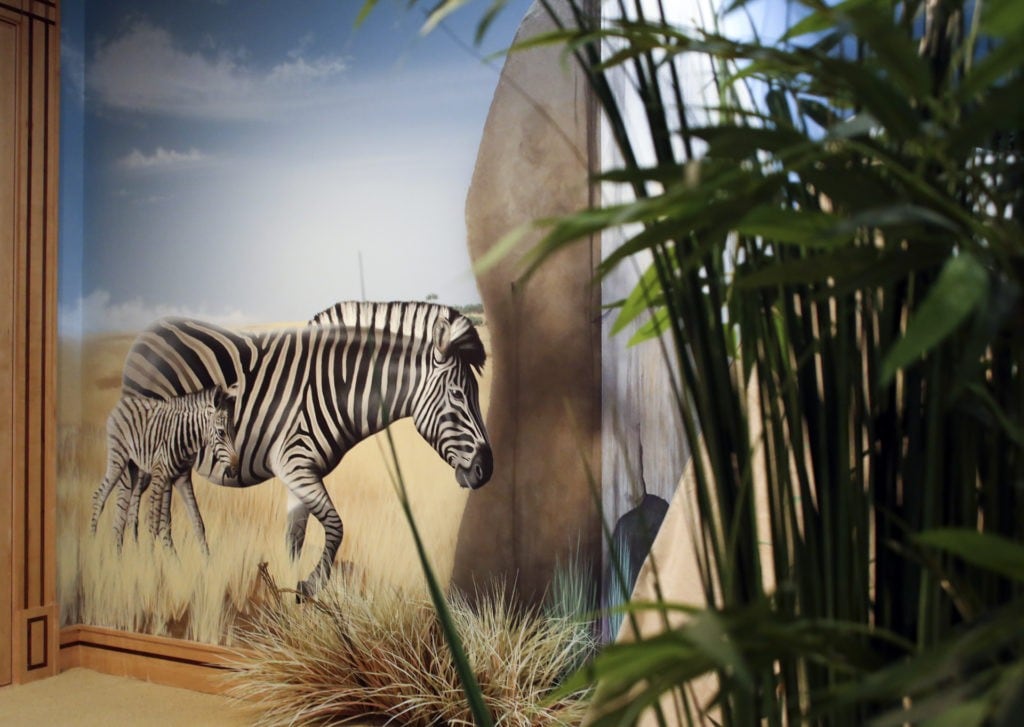 Safari Playroom