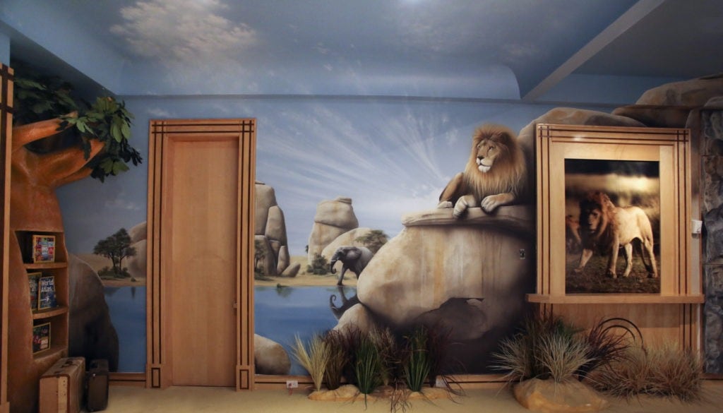 Safari Playroom