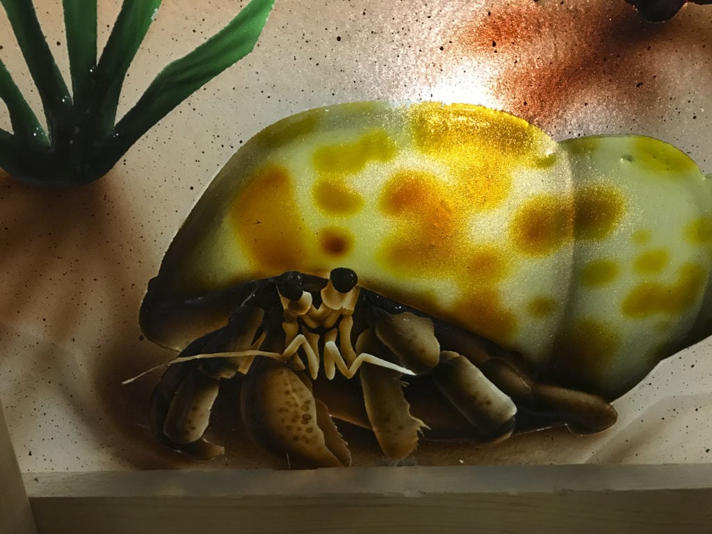 Glass Under the Sea